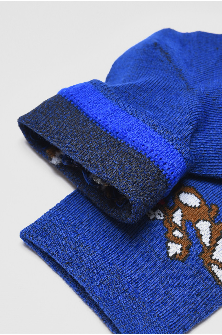 Шкарпетки дитячі демісезонні синього кольору 3367 192938