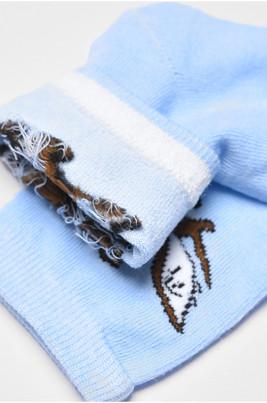 Носки детские демисезонные голубого цвета 3367 192940