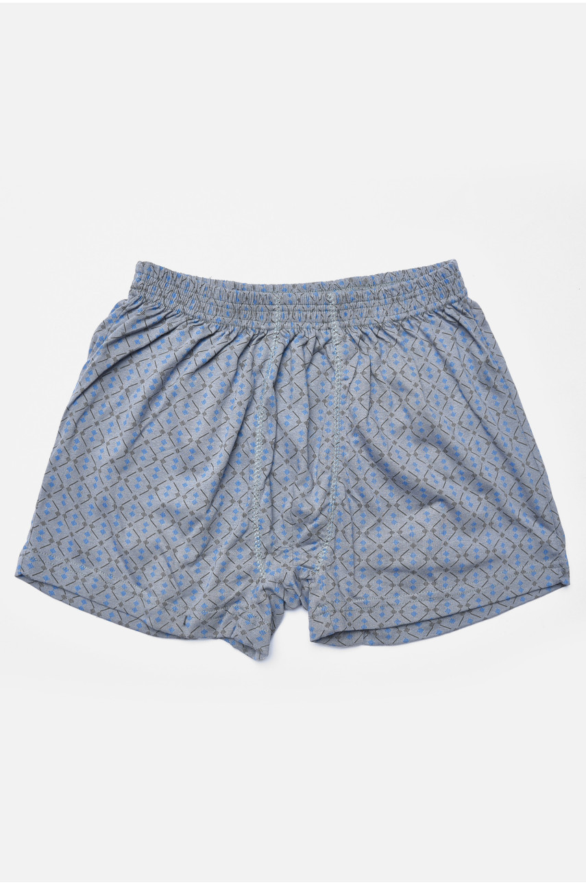 Труси сімейні чоловічі сірого кольору 193164