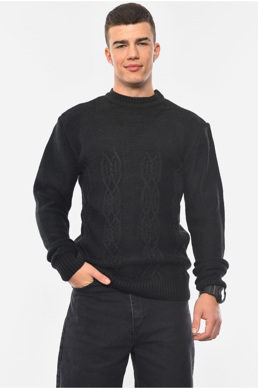 Свитер мужской однотонный черного цвета 193381