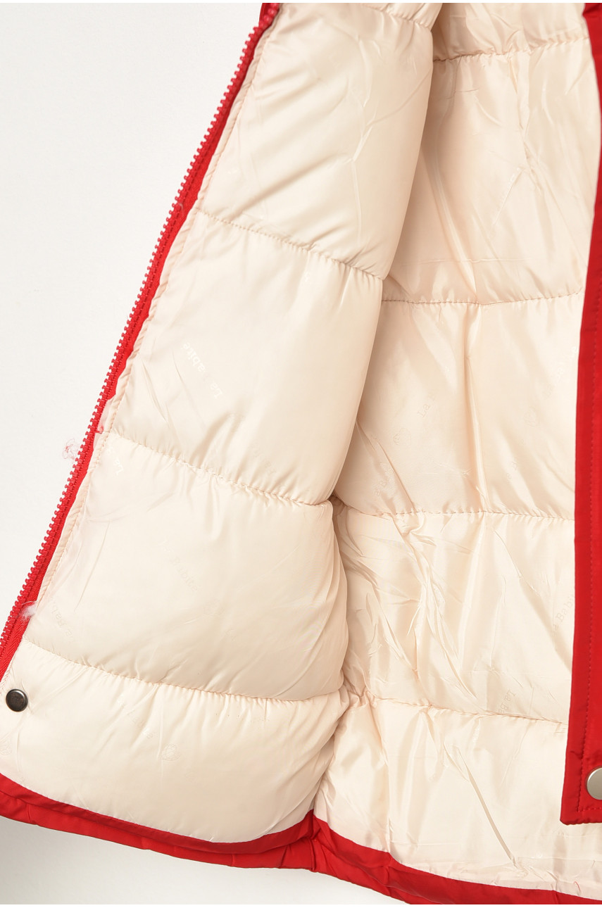 Куртка дитяча для хлопчика єврозима червоного кольору 21-29 193445