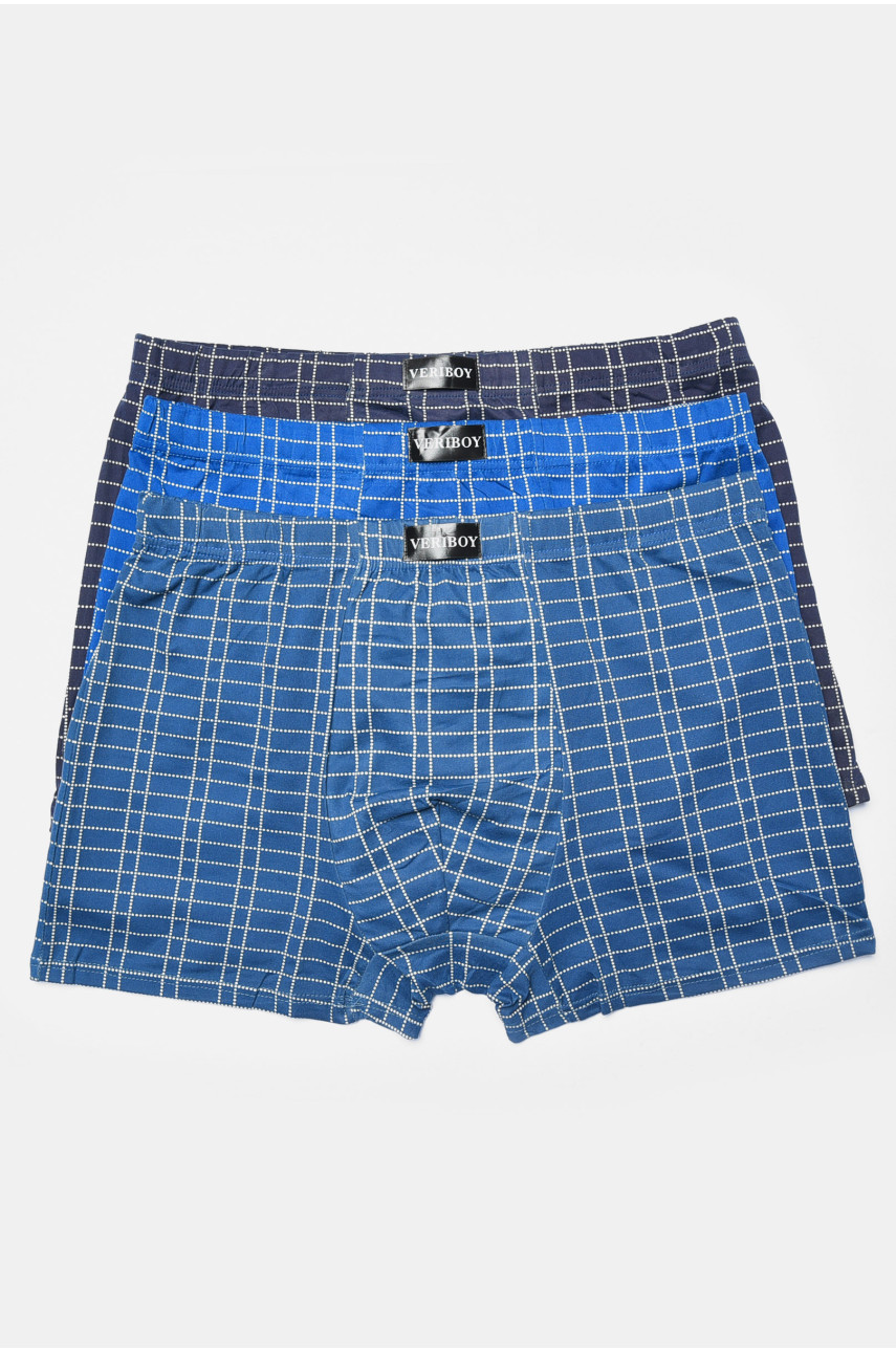 Набір чоловічих боксерів 3 штуки 5023 193924