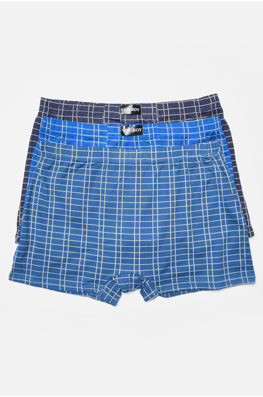 Набір чоловічих боксерів 3 штуки 5023 193924