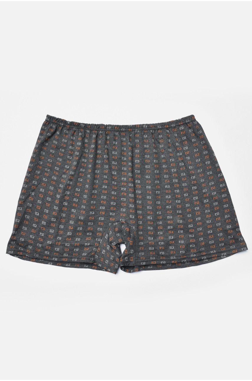 Труси сімейні чоловічі батальні сірого кольору 193971 Труси сімейні чоловічі батальні сірого кольору 193971