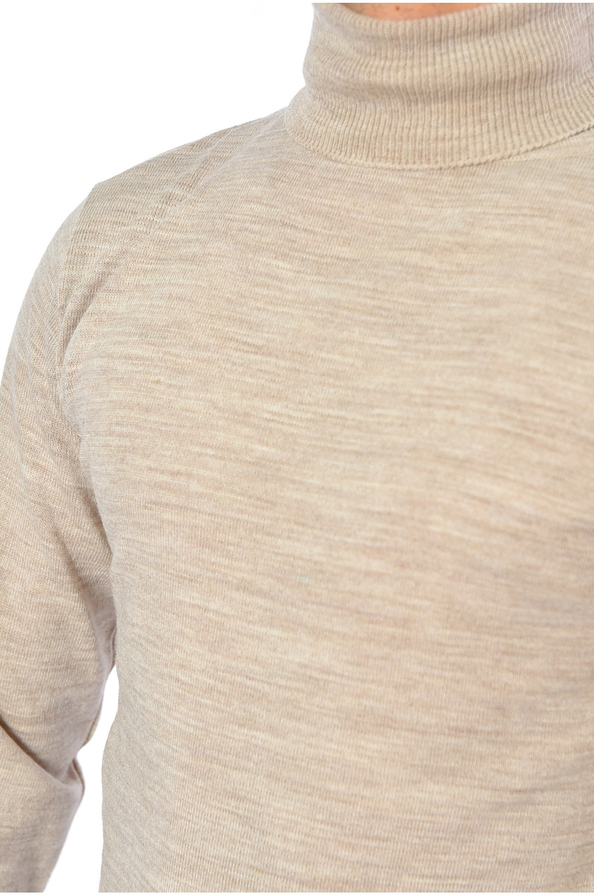 Гольф мужской однотонный бежевого цвета 4026-3 194052 Гольф мужской однотонный бежевого цвета 4026-3 194052