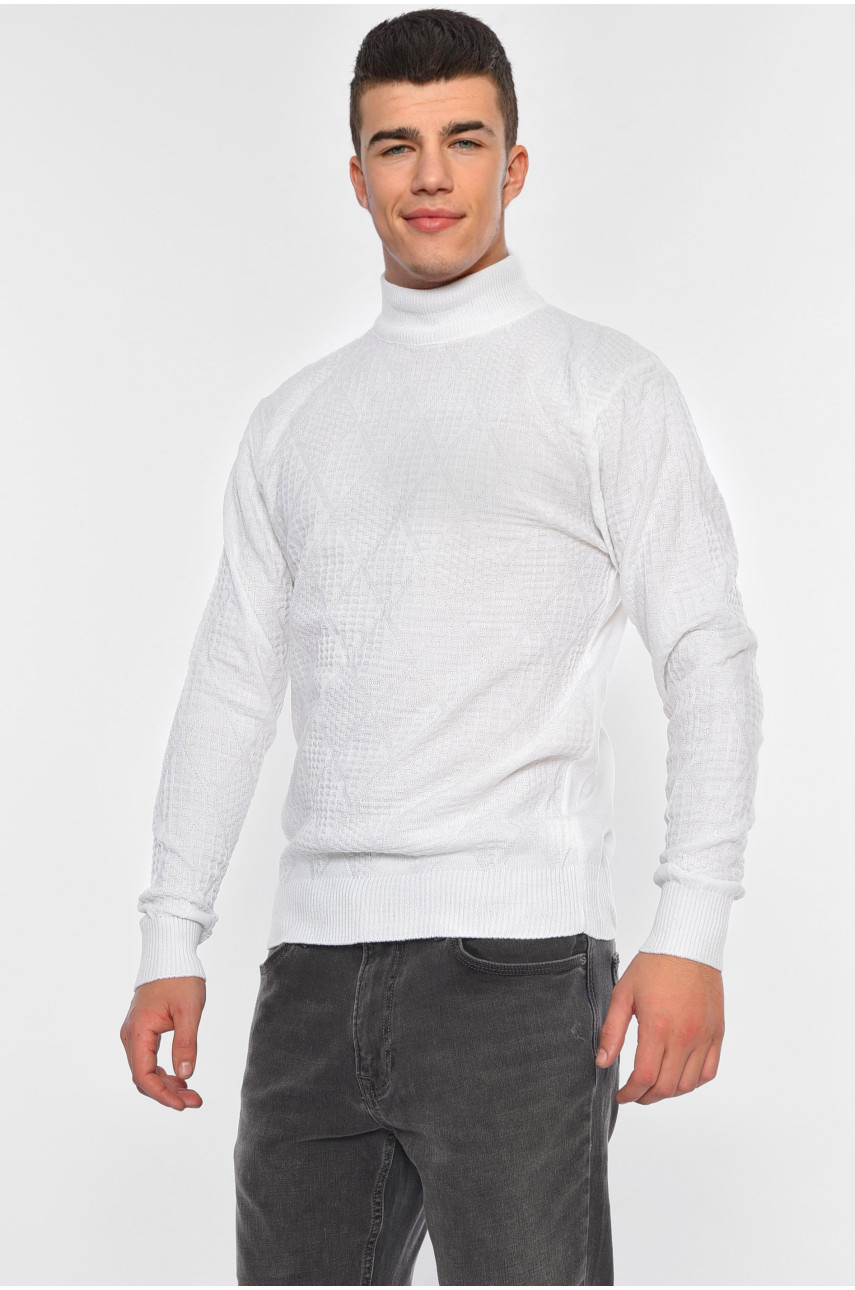 Свитер мужской однотонный белого цвета 1050-10 194053 Свитер мужской однотонный белого цвета 1050-10 194053