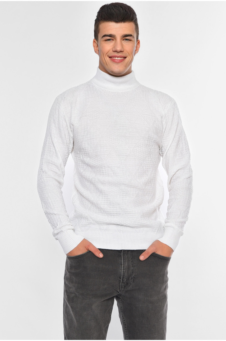 Свитер мужской однотонный белого цвета 1050-10 194053 Свитер мужской однотонный белого цвета 1050-10 194053