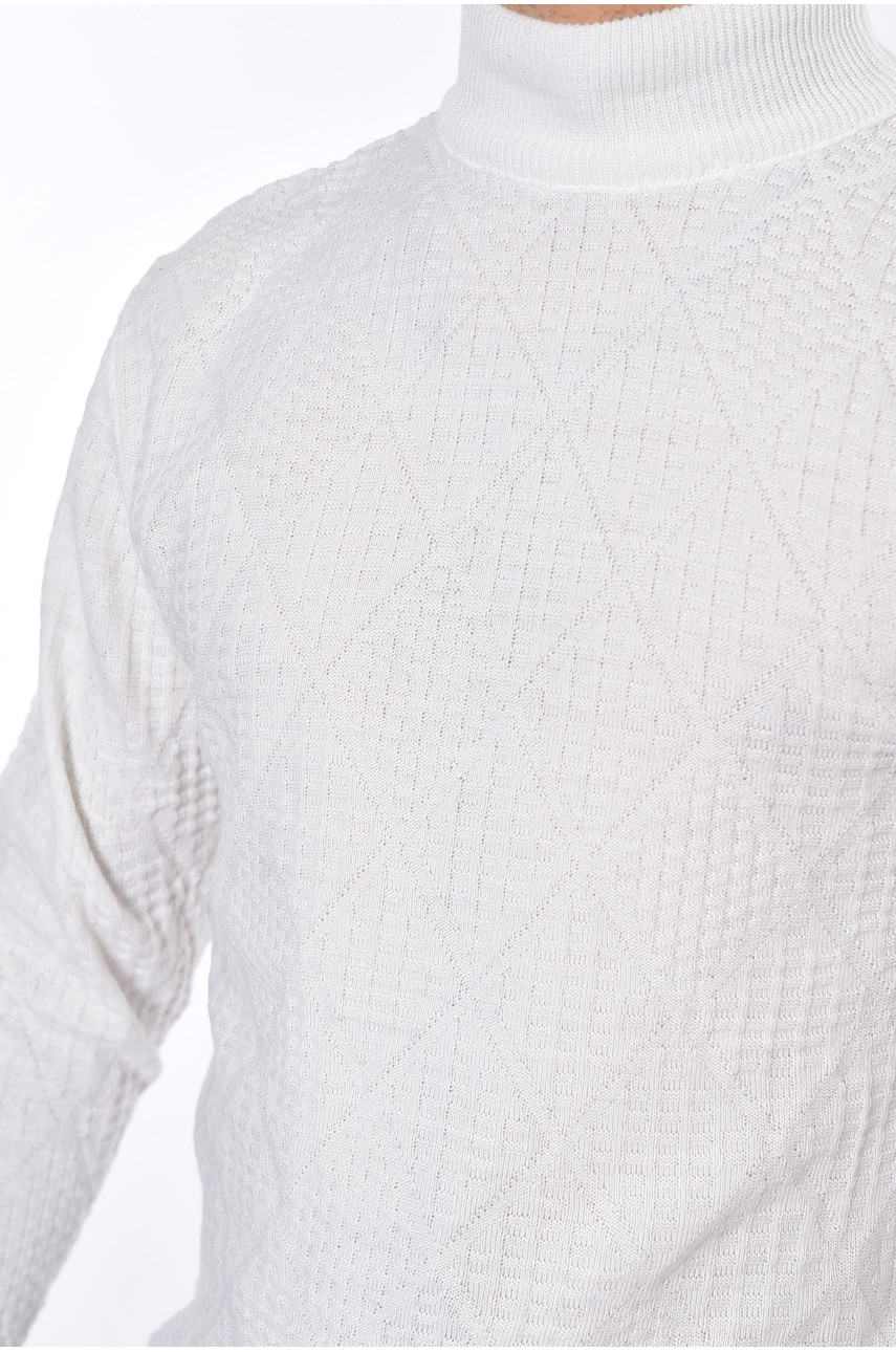 Свитер мужской однотонный белого цвета 1050-10 194053 Свитер мужской однотонный белого цвета 1050-10 194053