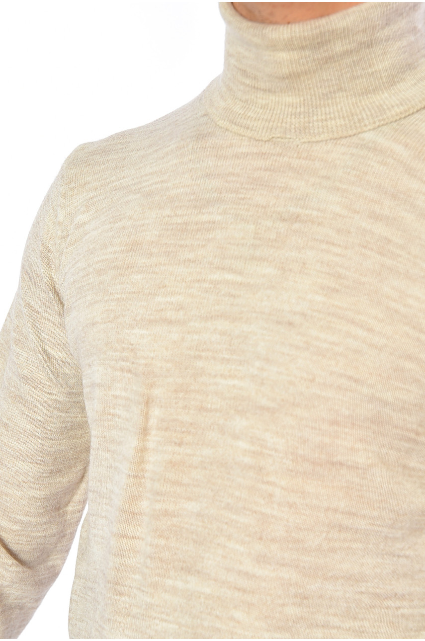 Гольф чоловічий однотонний світло-бежевого кольору 4026-10 194079 Гольф чоловічий однотонний світло-бежевого кольору 4026-10 194079