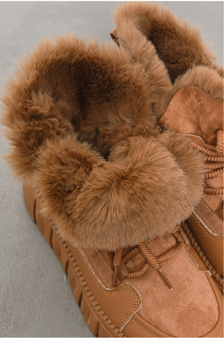 Ботинки женские зимние темно-бежевого цвета на меху fc01-5 194115 Ботинки женские зимние темно-бежевого цвета на меху fc01-5 194115
