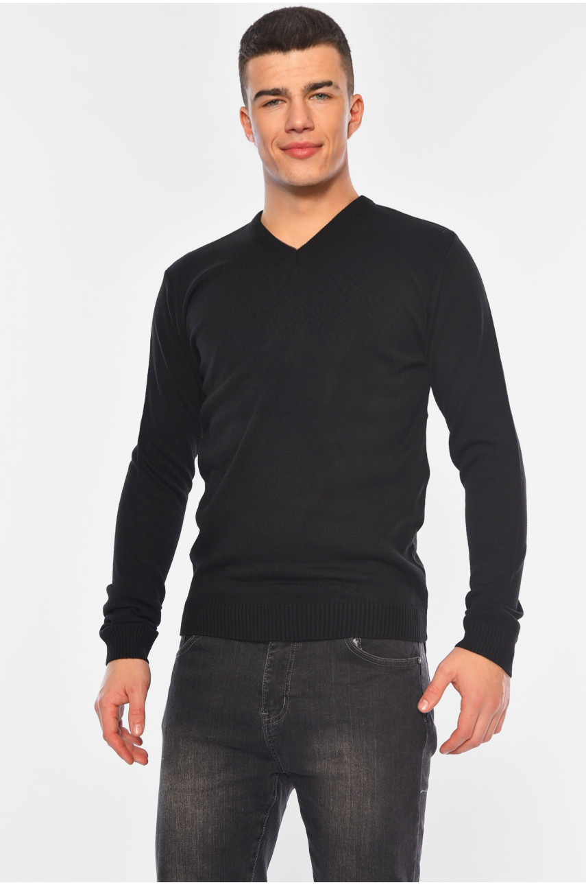 Свитер мужской однотонный черного цвета 100-1 194474 Свитер мужской однотонный черного цвета 100-1 194474