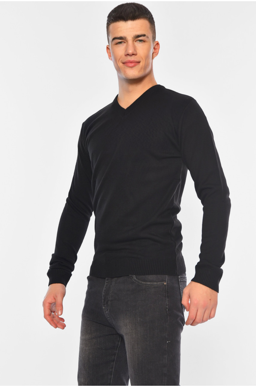 Свитер мужской однотонный черного цвета 100-1 194474 Свитер мужской однотонный черного цвета 100-1 194474