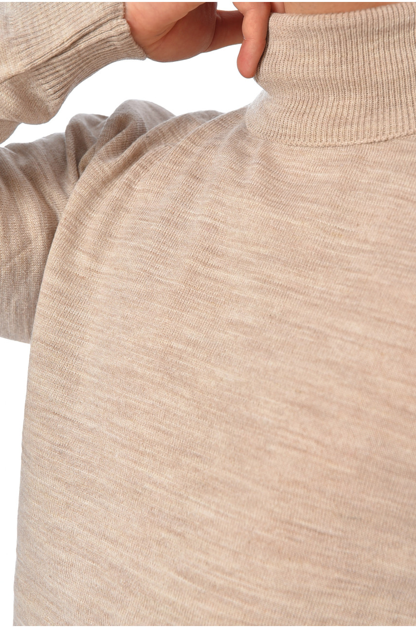 Свитер мужской однотонный бежевого цвета 4026-3 194480 Свитер мужской однотонный бежевого цвета 4026-3 194480