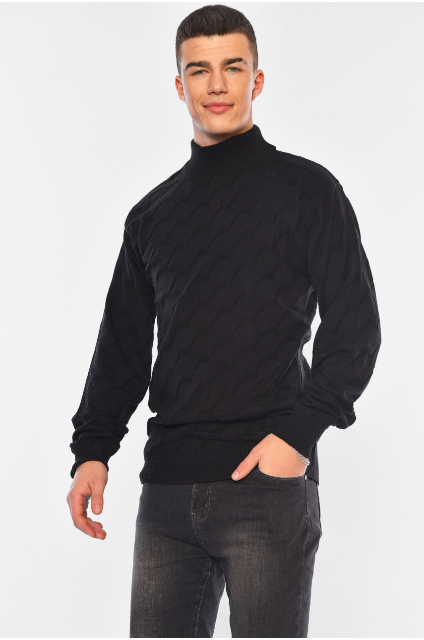 Светр чоловічий однотонний чорного кольору 1029-1 194482