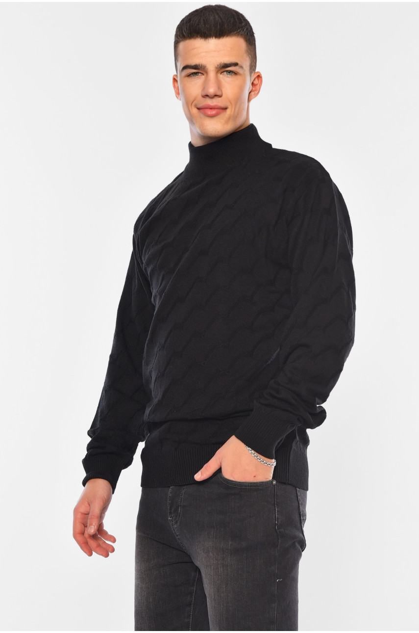 Светр чоловічий однотонний чорного кольору 1029-1 194482