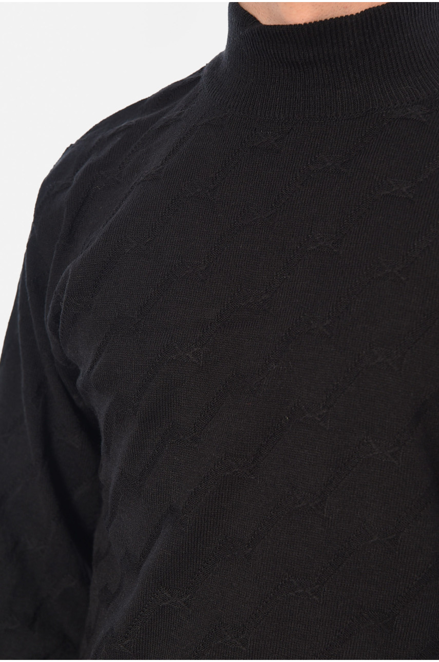 Светр чоловічий однотонний чорного кольору 1029-1 194482