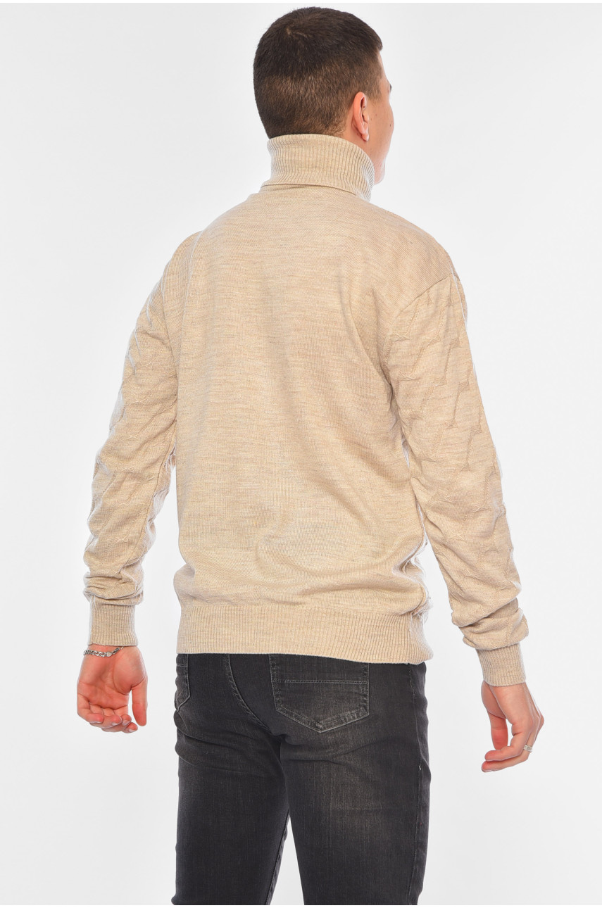 Свитер мужской однотонный бежевого цвета 1029-31 194484 Свитер мужской однотонный бежевого цвета 1029-31 194484