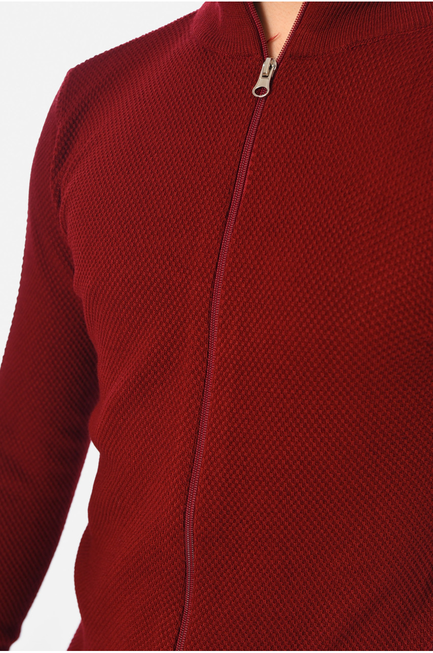 Свитер мужской однотонный бордового цвета 1700-5 194486 Свитер мужской однотонный бордового цвета 1700-5 194486