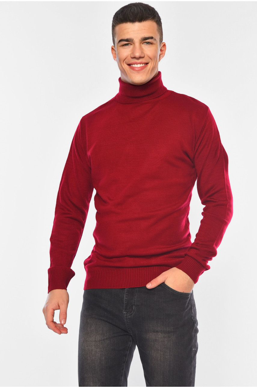 Свитер мужской однотонный бордового цвета 4026-5 194490