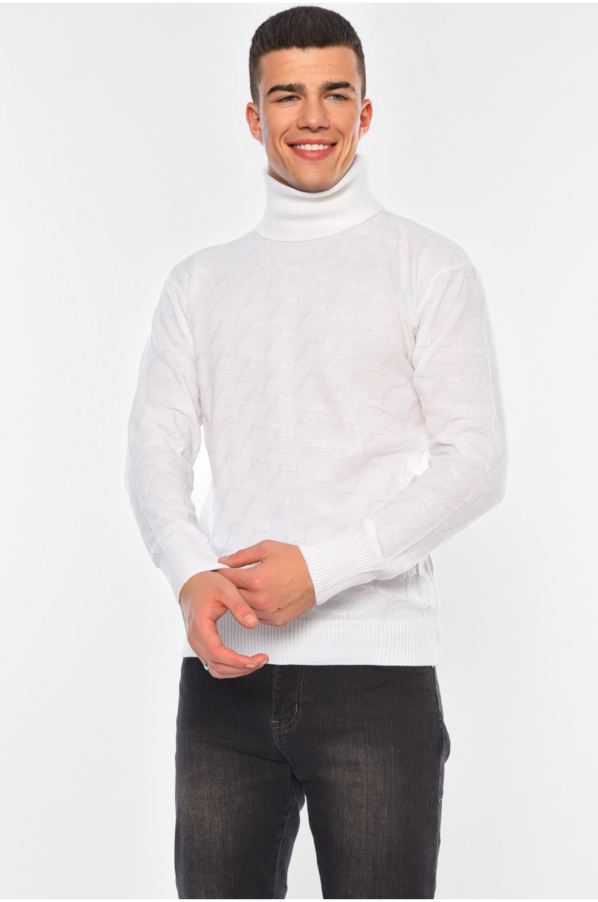 Свитер мужской однотонный белого цвета 1029-101 194497