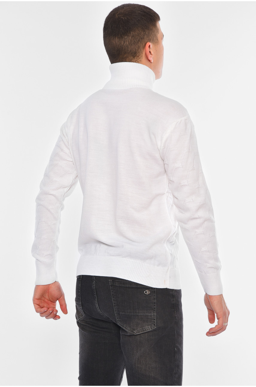 Свитер мужской однотонный белого цвета 1029-101 194497 Свитер мужской однотонный белого цвета 1029-101 194497