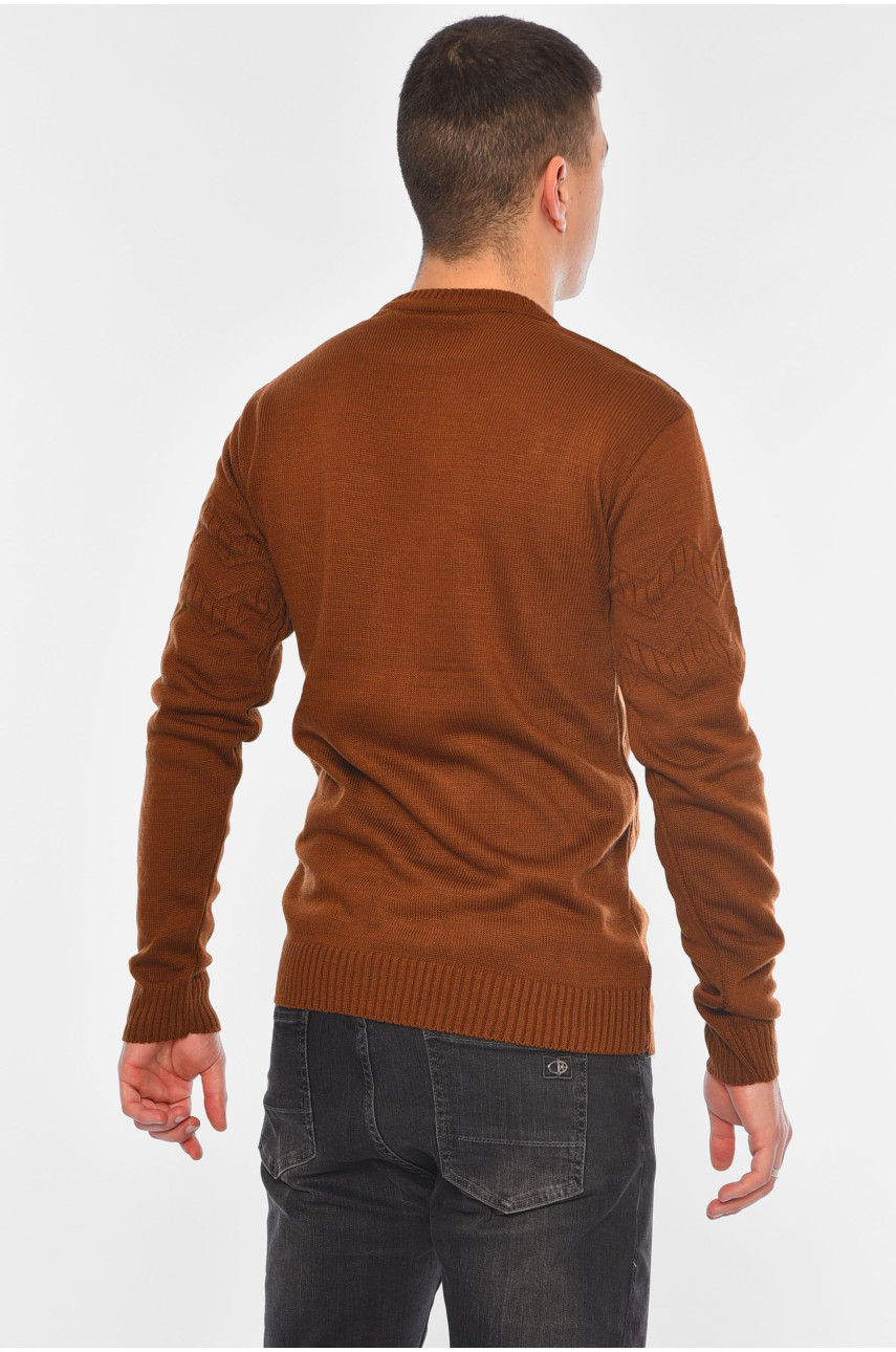 Светр чоловічий однотонний коричневого кольору 110-9 194515 Светр чоловічий однотонний коричневого кольору 110-9 194515