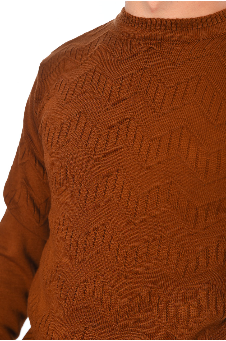 Светр чоловічий однотонний коричневого кольору 110-9 194515 Светр чоловічий однотонний коричневого кольору 110-9 194515
