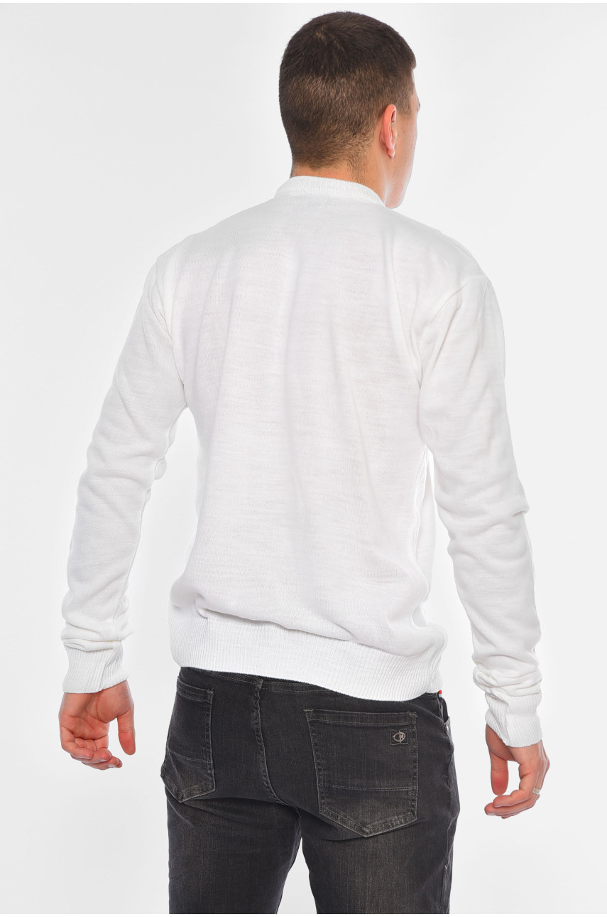 Светр чоловічий однотонний білого кольору 1053-10 194516 Светр чоловічий однотонний білого кольору 1053-10 194516