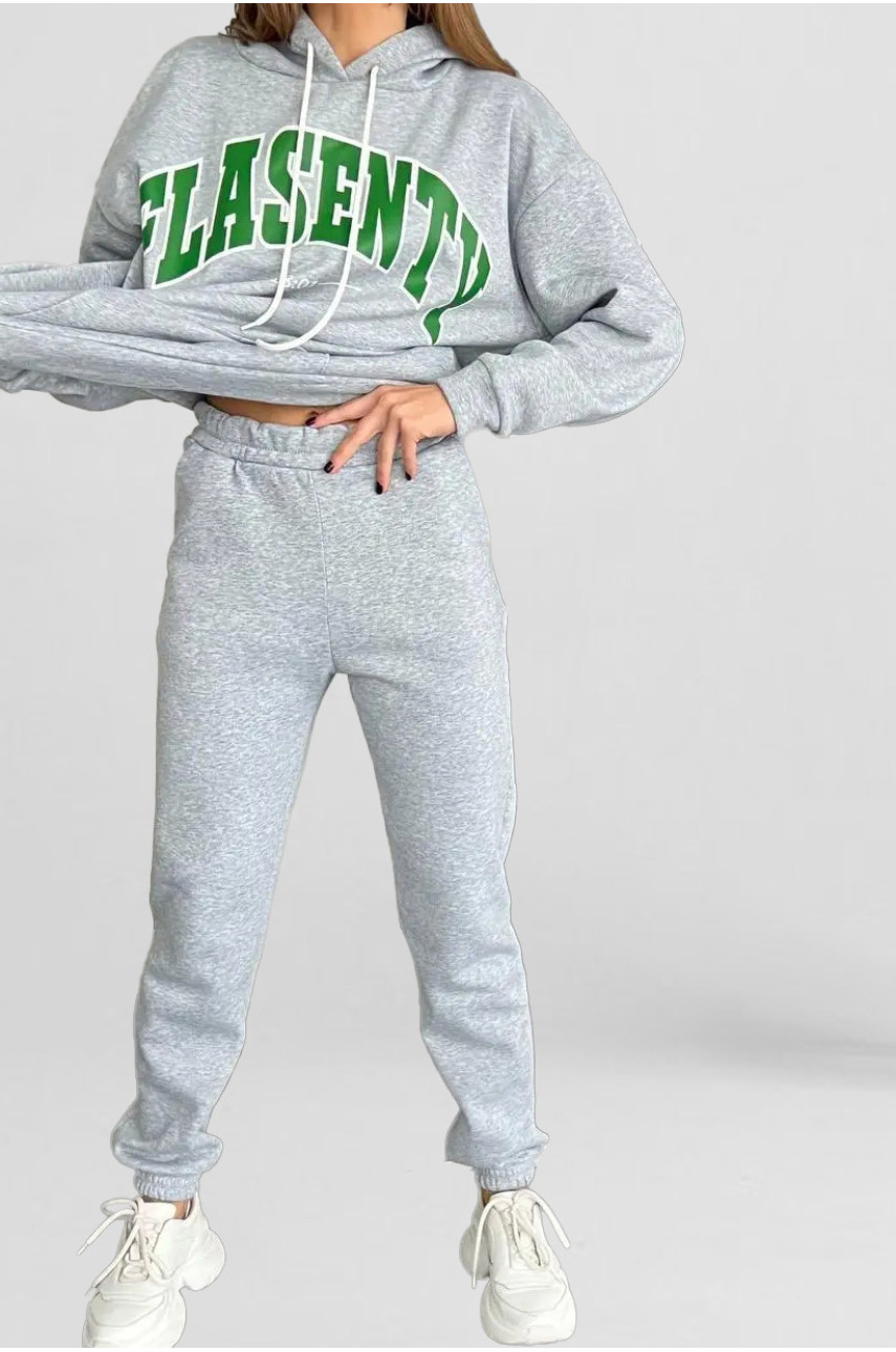 Спортивний костюм жіночий на флісі сірого кольору 194657
