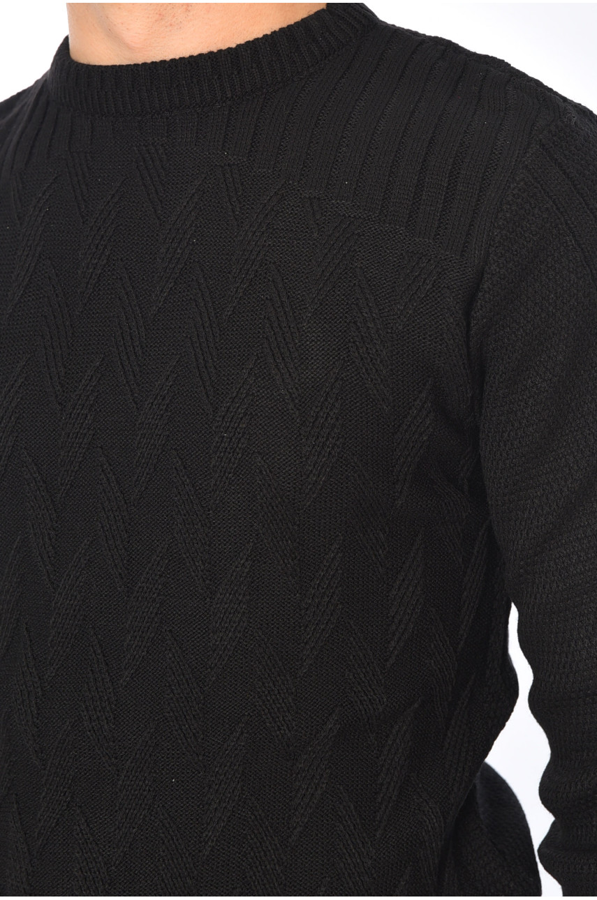 Свитер мужской однотонный черного цвета 1020-1 195380 Свитер мужской однотонный черного цвета 1020-1 195380