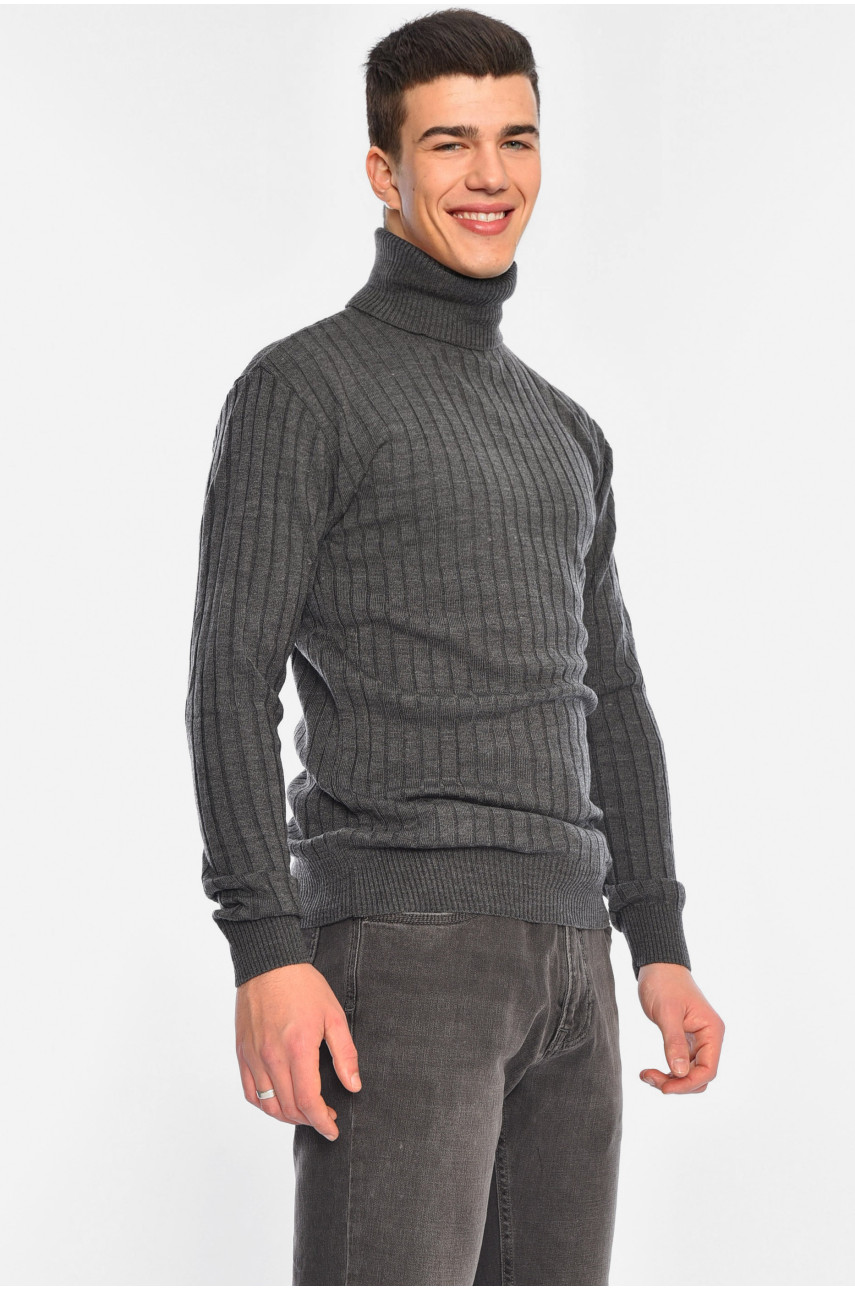 Гольф чоловічий темно-сірого кольору 4024-6 195384