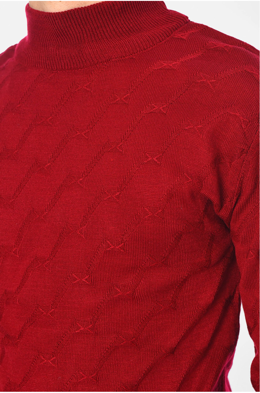 Свитер мужской однотонный бордового цвета 1029-5 195390 Свитер мужской однотонный бордового цвета 1029-5 195390