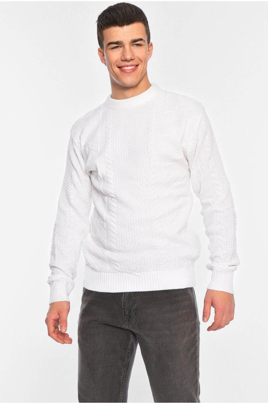 Светр чоловічий однотонний білого кольору 1085-10 195396 Светр чоловічий однотонний білого кольору 1085-10 195396