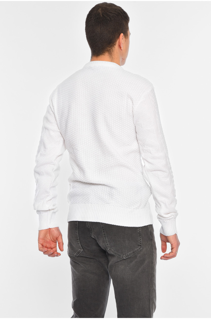 Светр чоловічий однотонний білого кольору 1085-10 195396 Светр чоловічий однотонний білого кольору 1085-10 195396