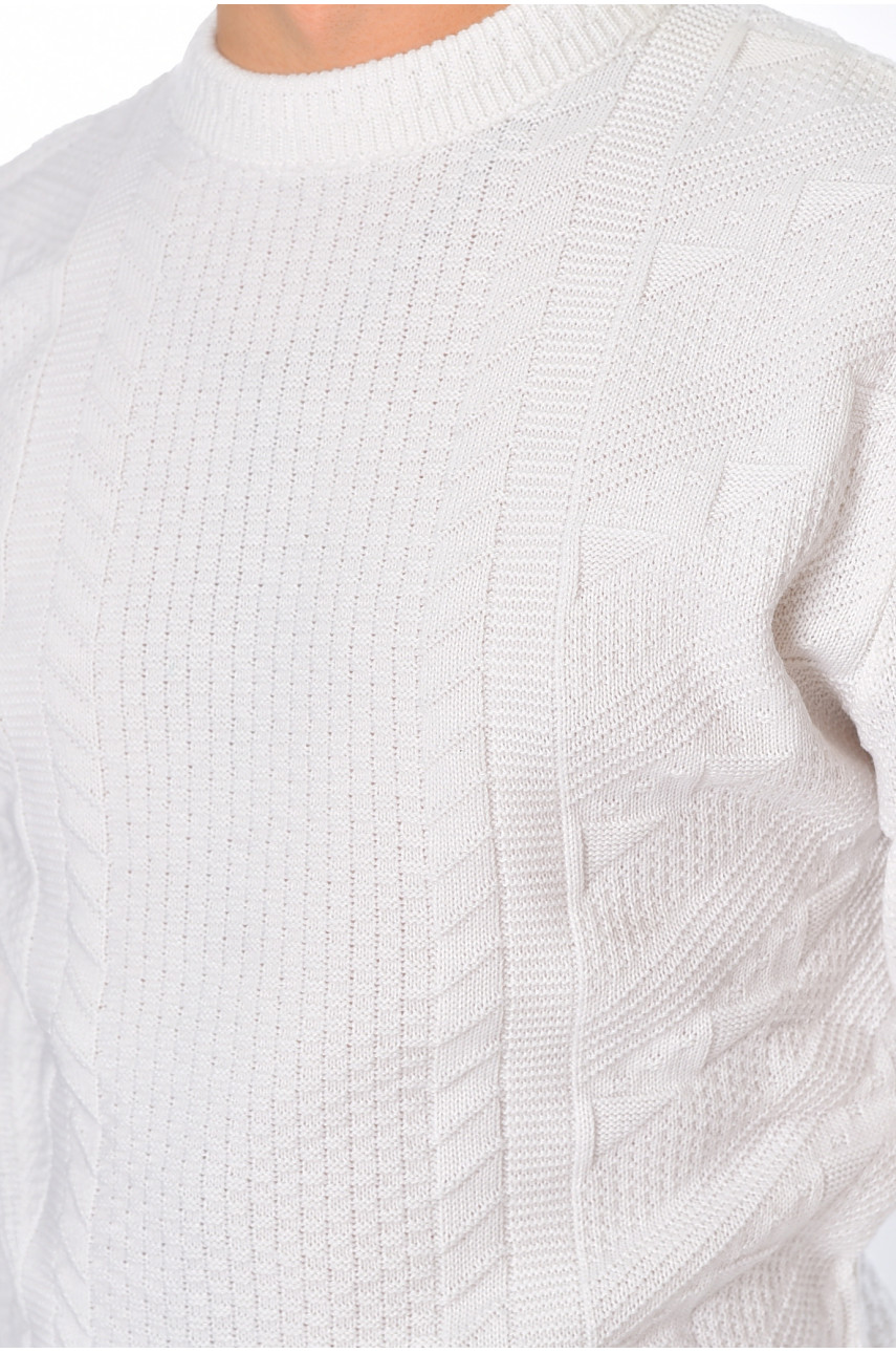 Светр чоловічий однотонний білого кольору 1085-10 195396 Светр чоловічий однотонний білого кольору 1085-10 195396