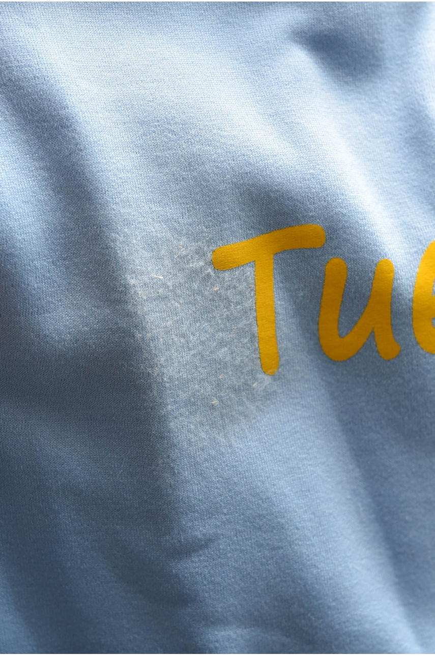 Батник жіночий на флісі блакитного кольору з написом Уцінка 1143 195445