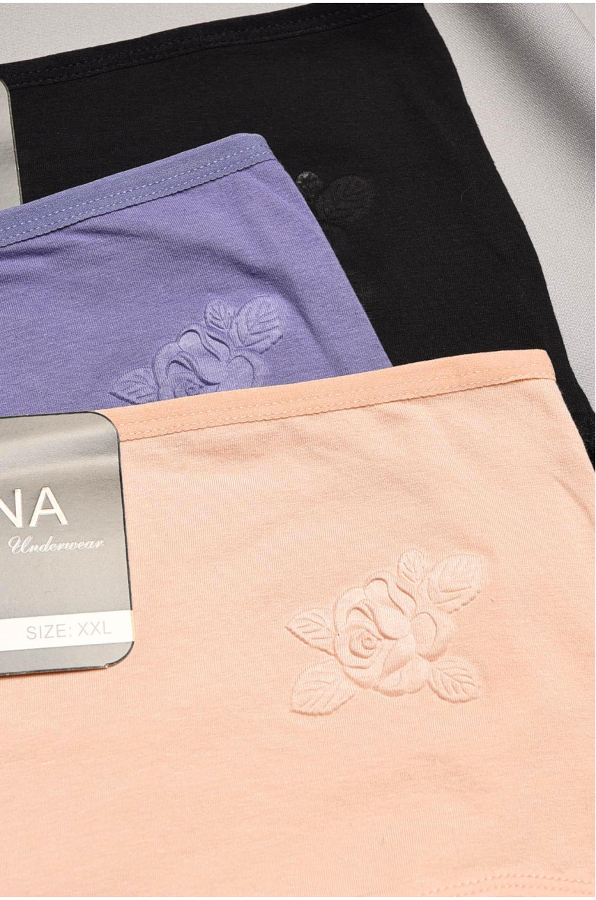 Набор трусов женских полубатальных 3 штуки 24129 195504