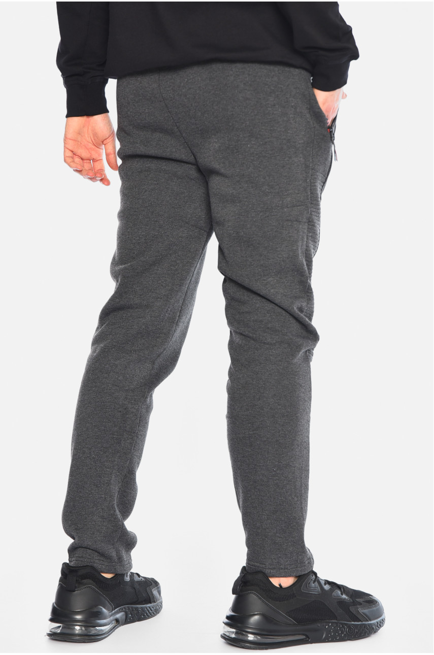 Спортивні штани чоловічі на флісі сірого кольору А16 195717