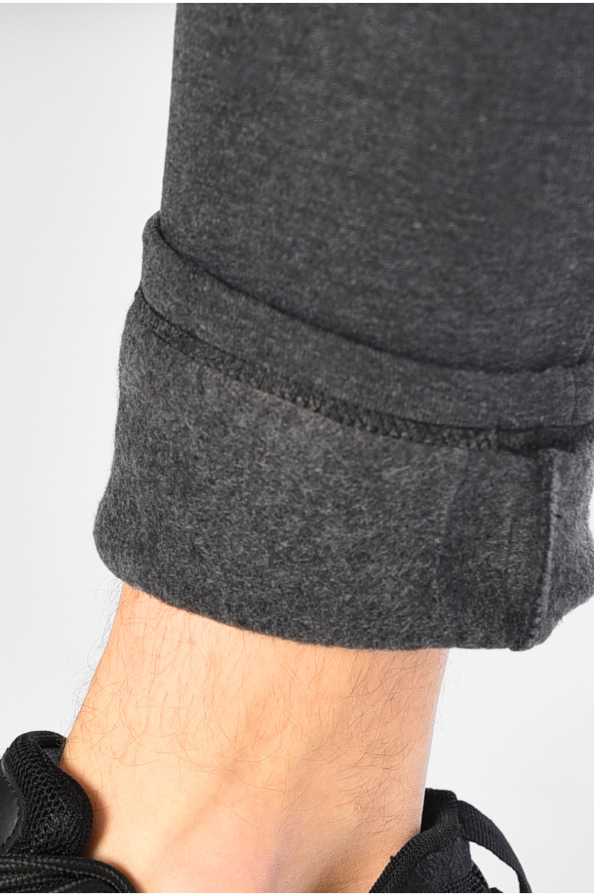 Спортивні штани чоловічі на флісі сірого кольору А16 195717