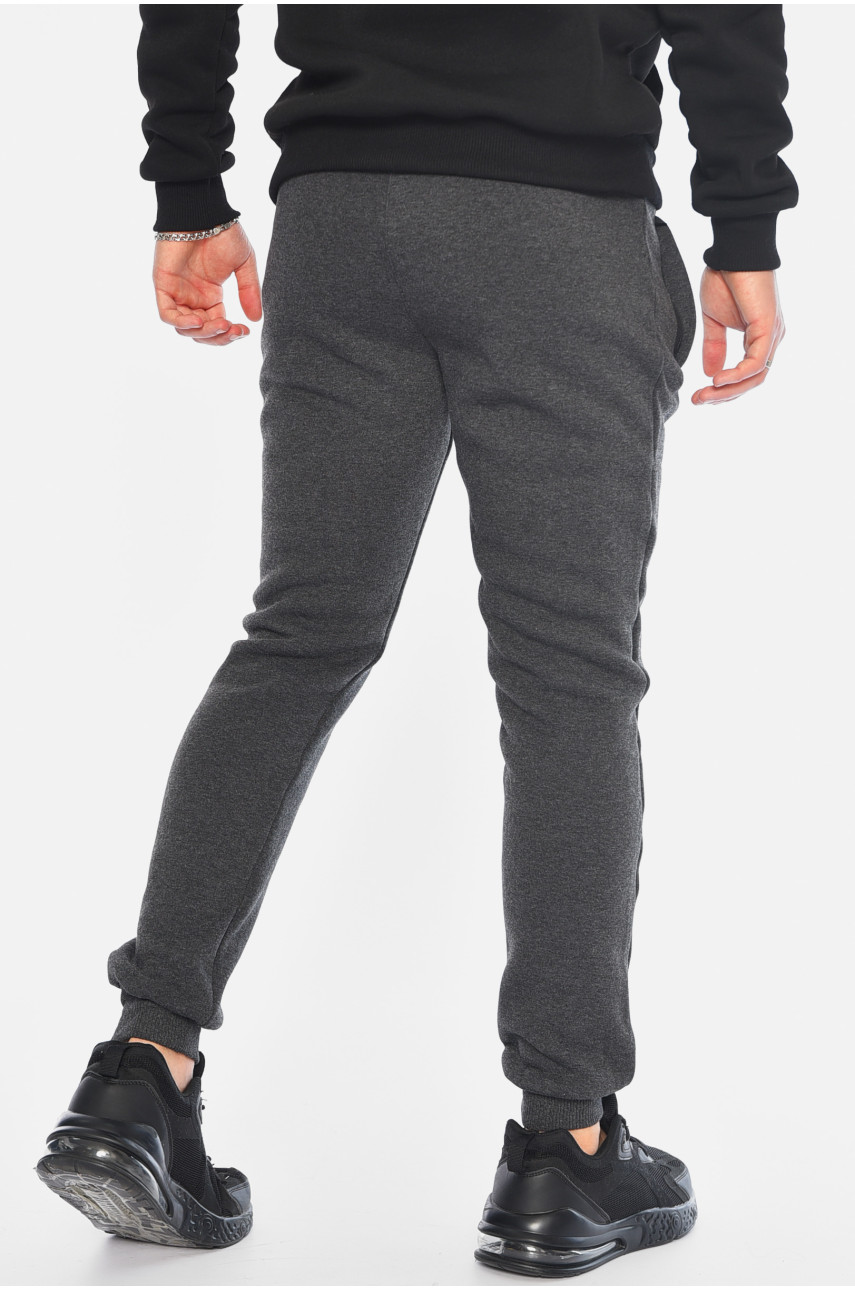 Спортивні штани чоловічі на флісі сірого кольору 07004 196022