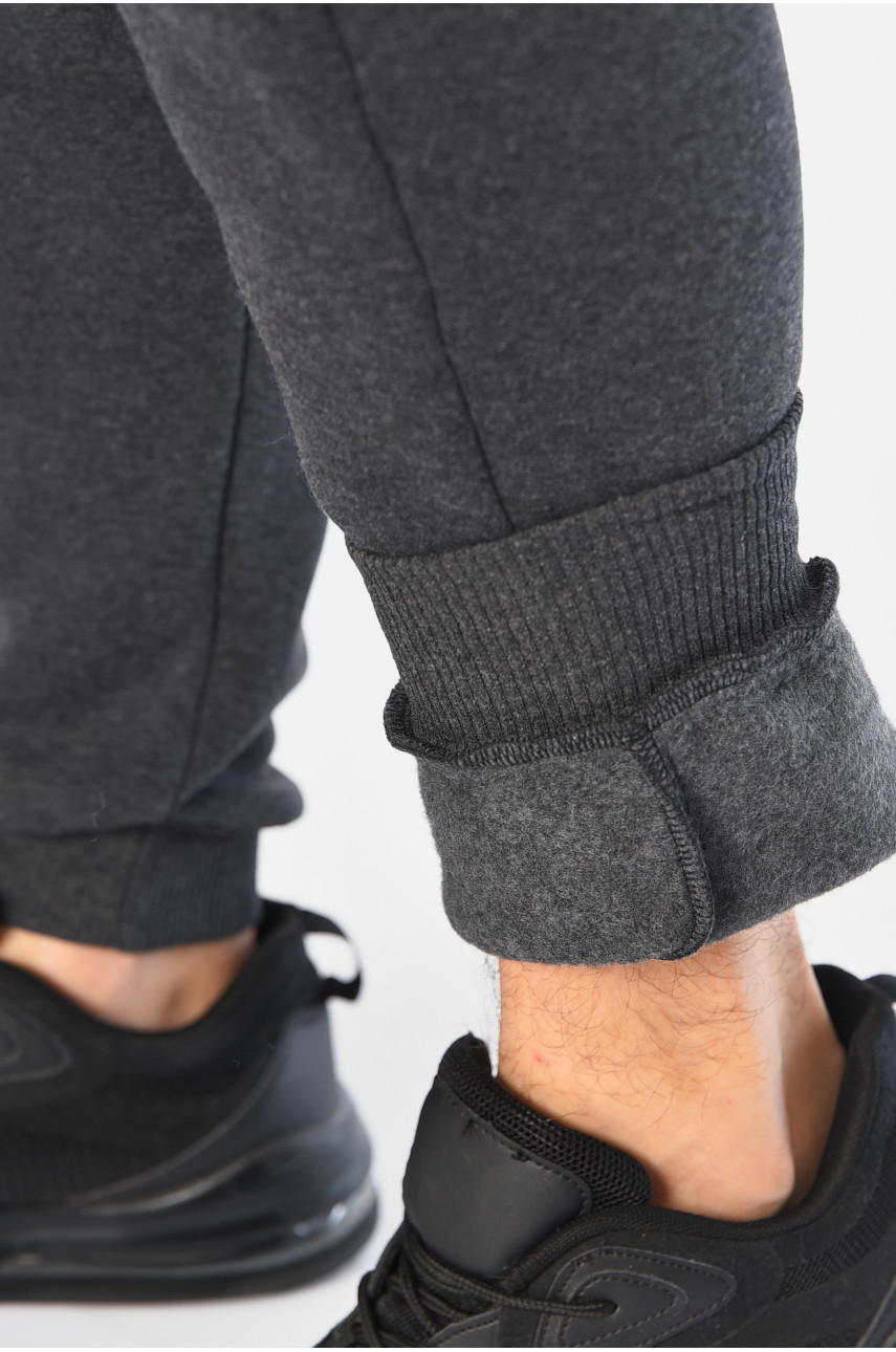 Спортивні штани чоловічі на флісі сірого кольору 07004 196022