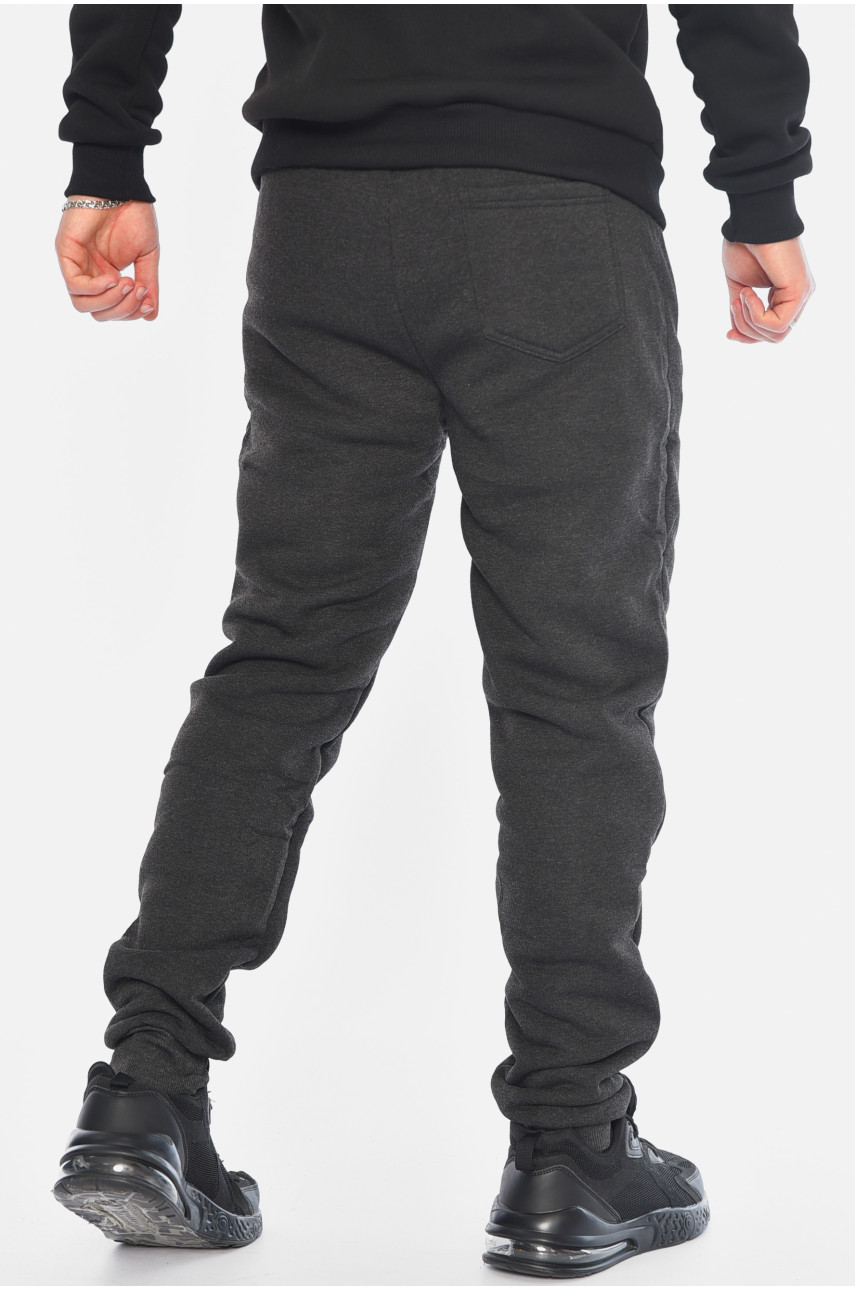 Спортивные штаны мужские на флисе серого цвета А2094-3 196050