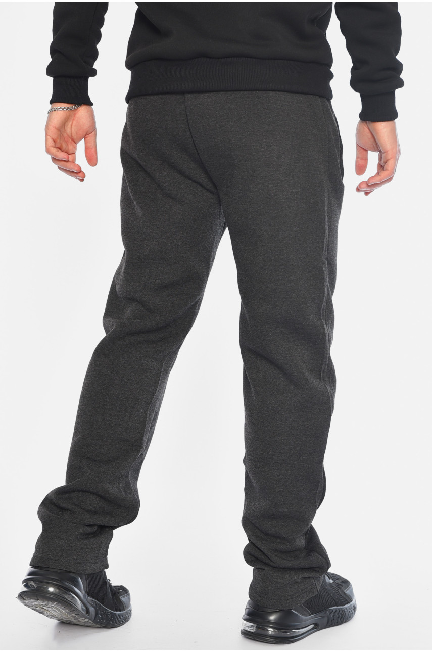 Спортивні штани чоловічі на флісі сірого кольору К2413 196055