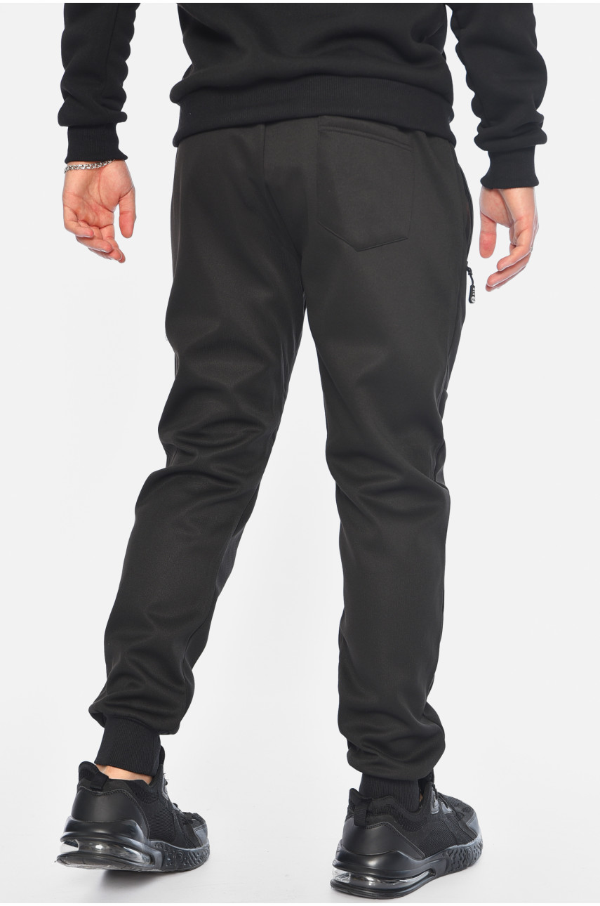 Спортивні штани чоловічі на штучному хутрі чорного кольору А41 196150