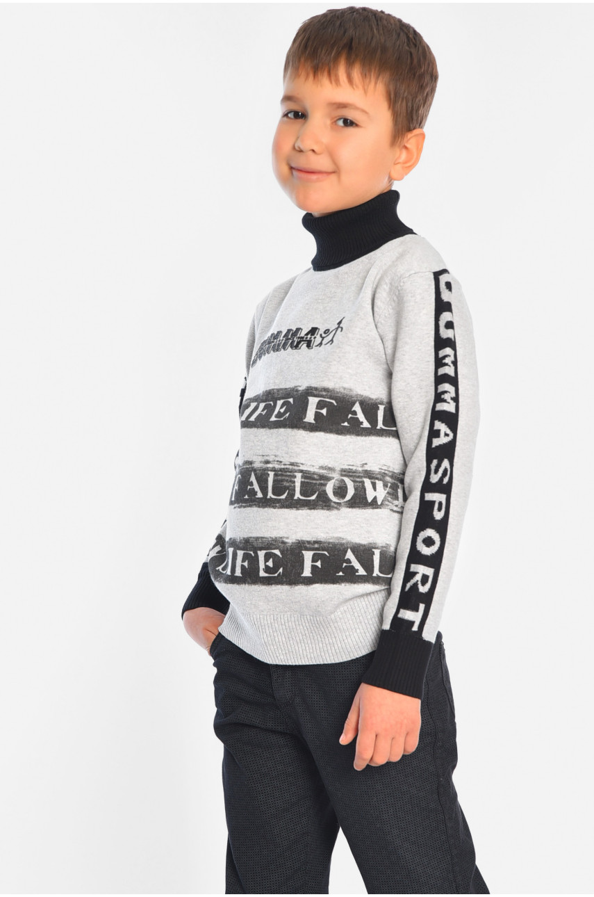 Гольф дитячий для хлопчика сірого кольору 1330 196351