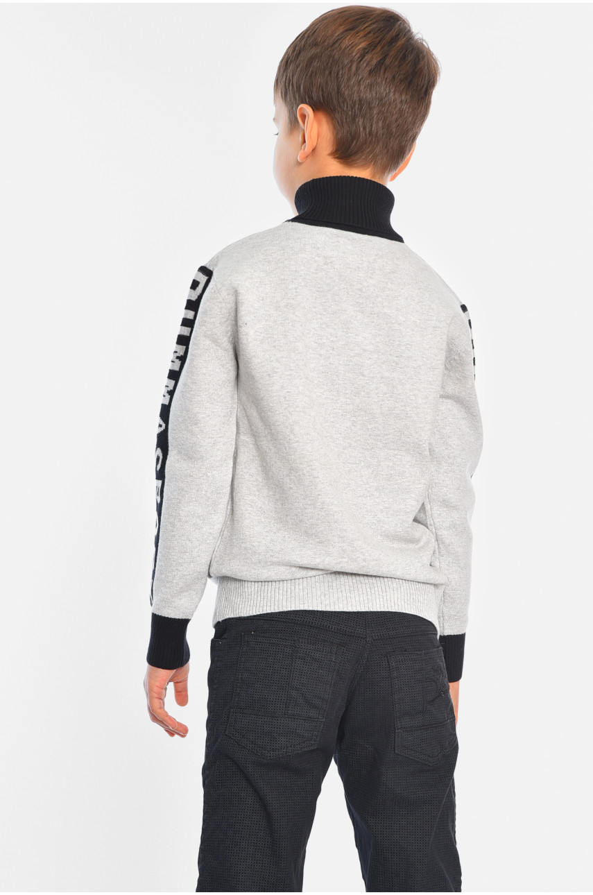 Гольф дитячий для хлопчика сірого кольору 1330 196351