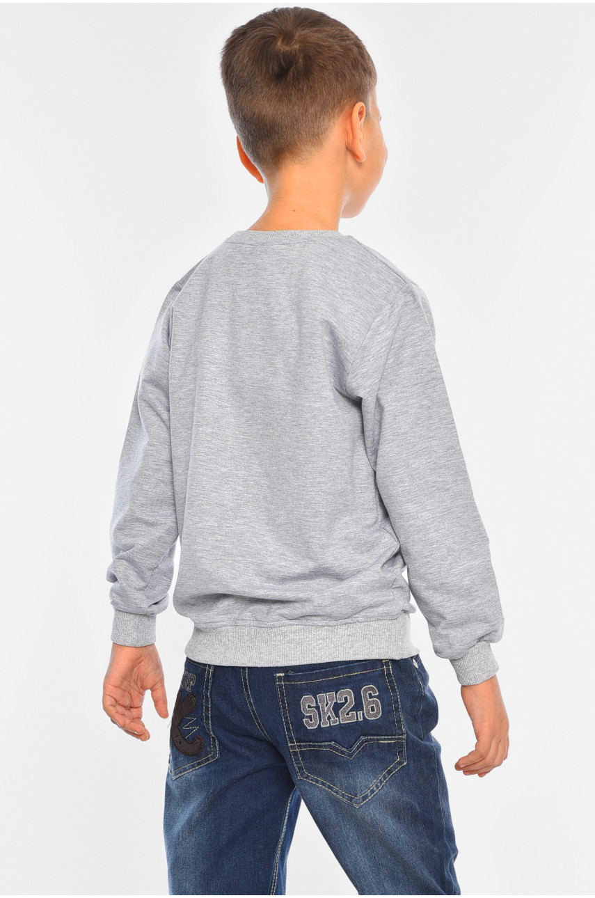 Світшот дитячий для хлопчика сірого кольору 7165 196571 Світшот дитячий для хлопчика сірого кольору 7165 196571