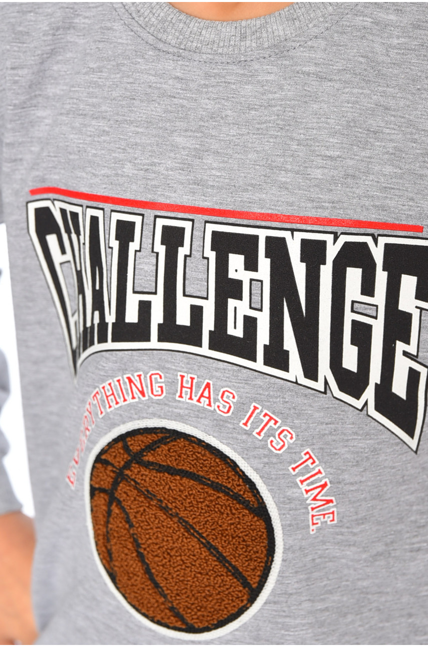 Світшот дитячий для хлопчика сірого кольору 7165 196571 Світшот дитячий для хлопчика сірого кольору 7165 196571