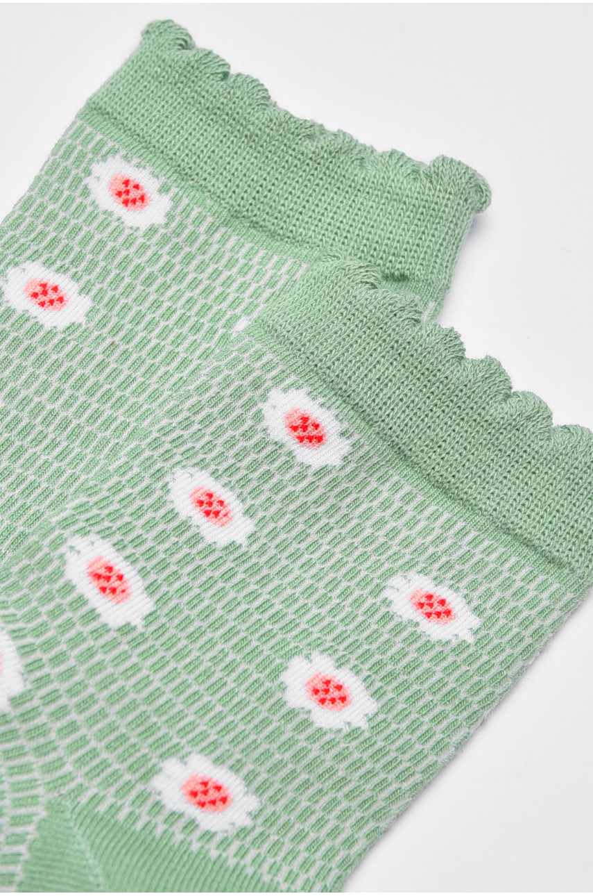 Шкарпетки дитячі демісезонні зеленого кольору GC1127 197152
