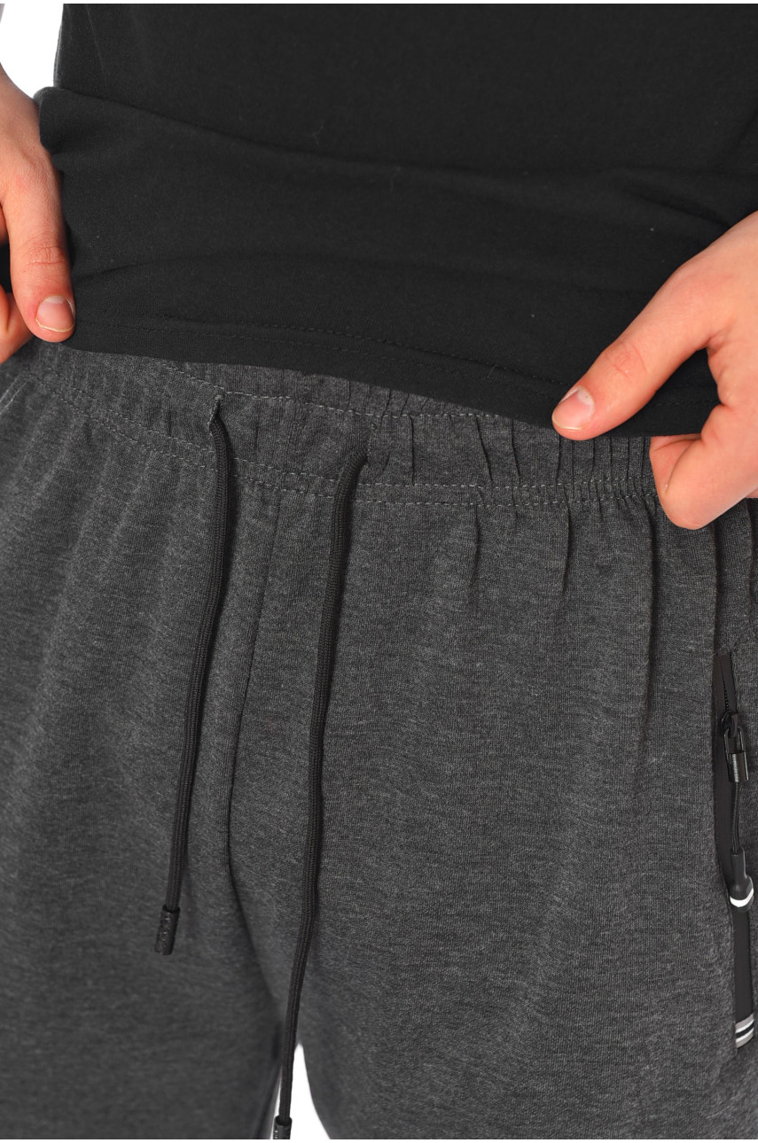 Спортивные штаны мужские полубатальные серого цвета 1402-11 198329